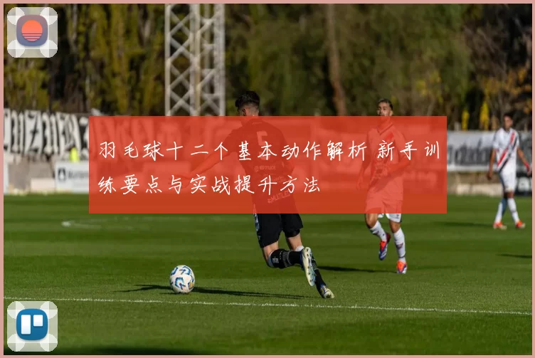 羽毛球十二个基本动作解析 新手训练要点与实战提升方法